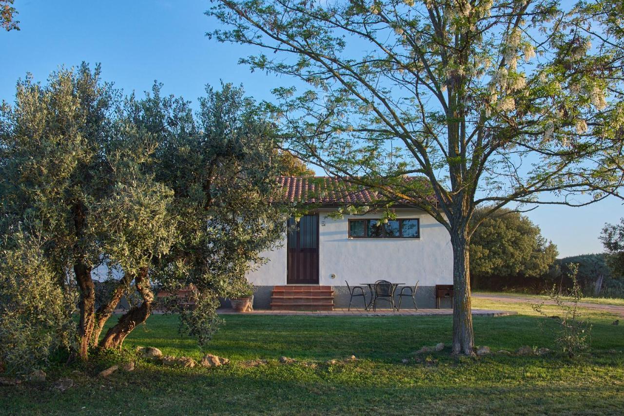 Agriturismo Tesorino Massa Marittima Exterior photo
