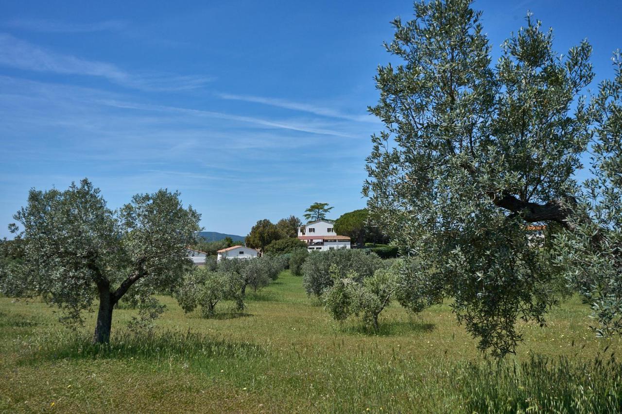 Agriturismo Tesorino Massa Marittima Exterior photo